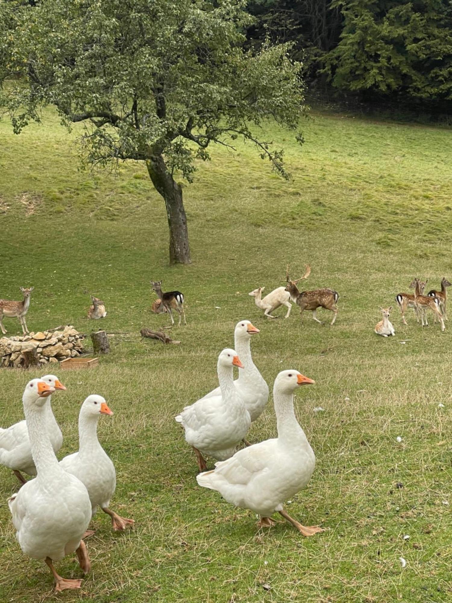 Boutique Tourist Farm Hrovat Frankolovo