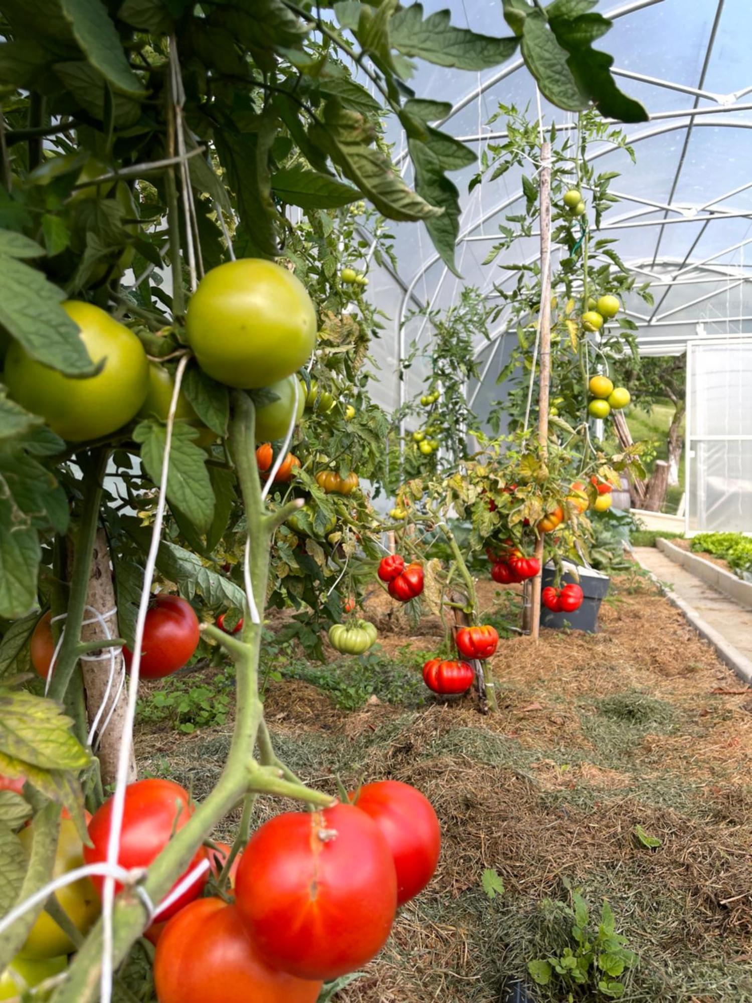 Boutique Tourist Farm Hrovat *