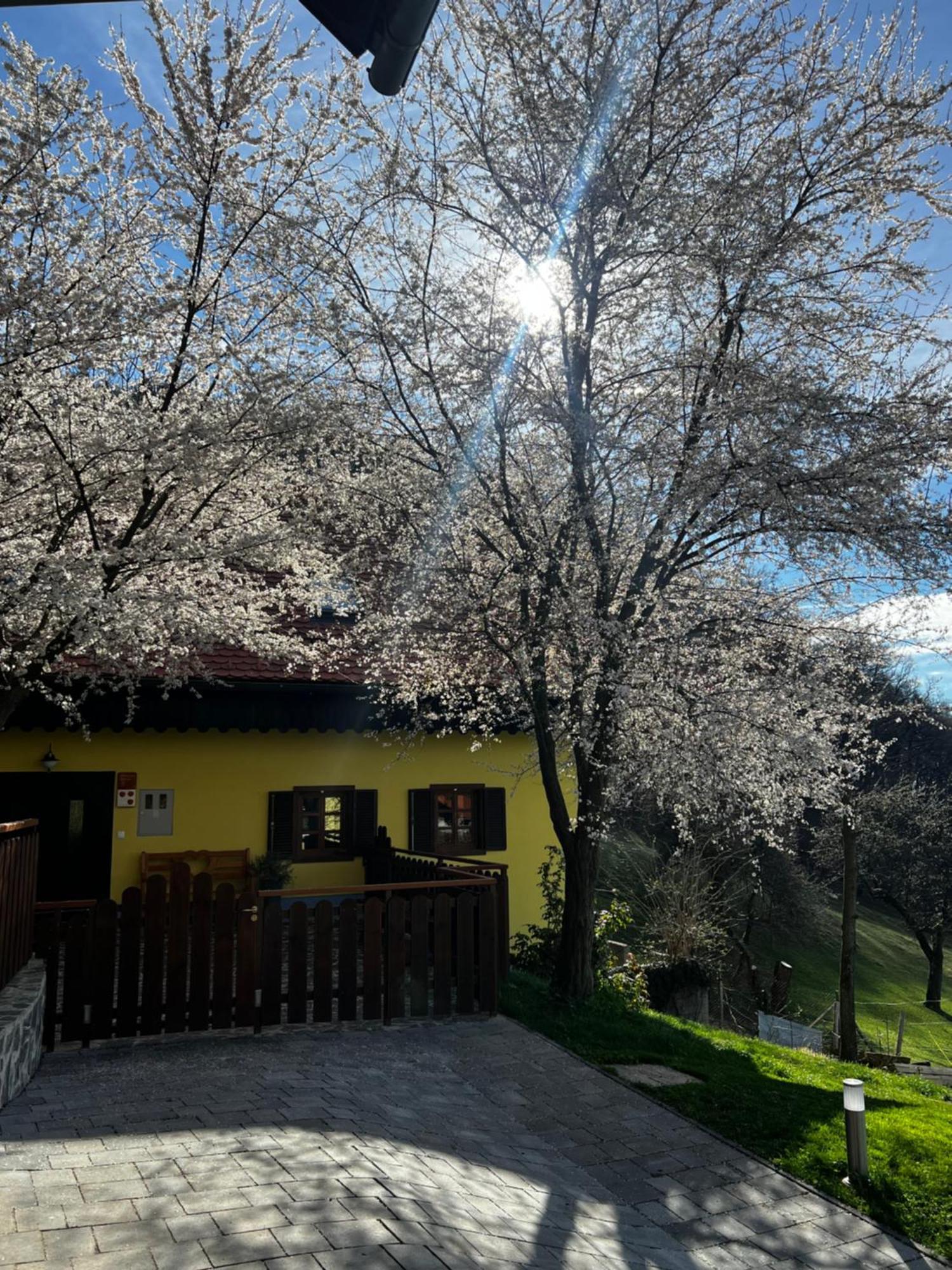 Boutique Tourist Farm Hrovat Frankolovo