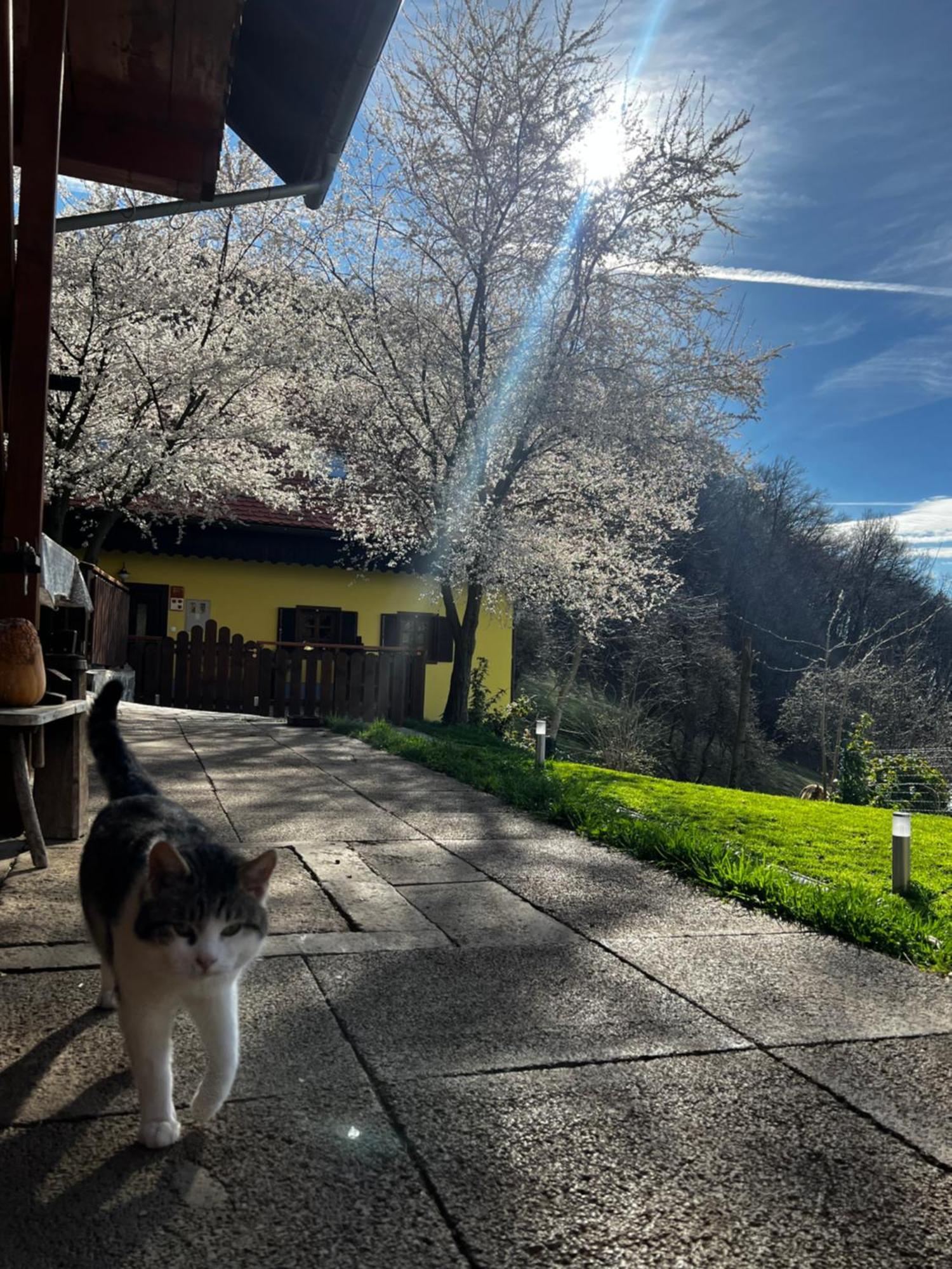 Boutique Tourist Farm Hrovat