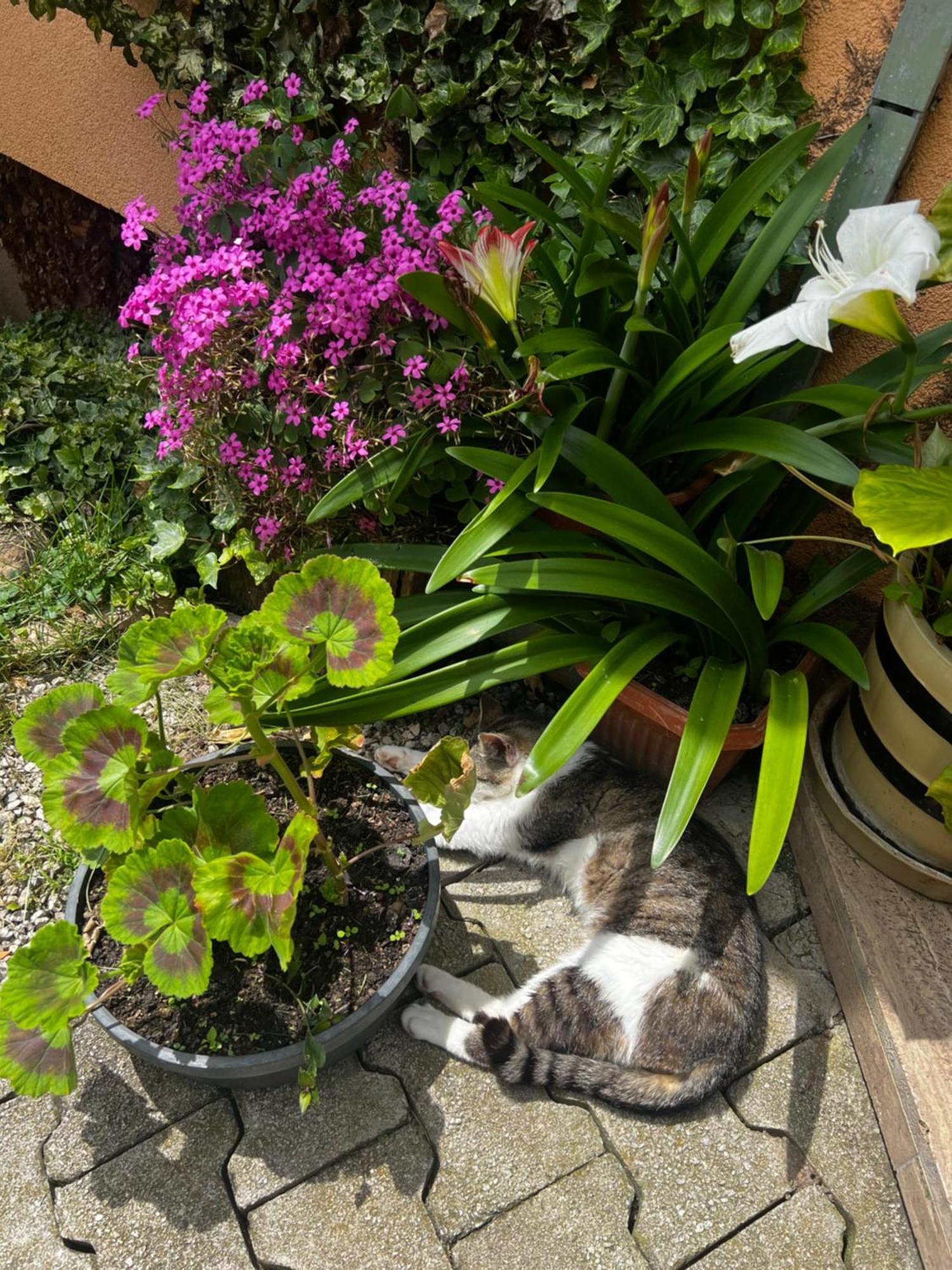 Boutique Tourist Farm Hrovat * Frankolovo